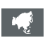 Asia