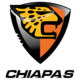 Jaguares