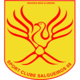 Salgueiros