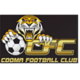 Cooma Tigers