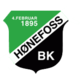 Honefoss SK