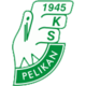 Pelikan Lowicz