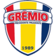 Gremio Prudente