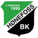 Hønefoss