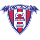 Viikingit