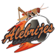 Alebrijes Oaxaca